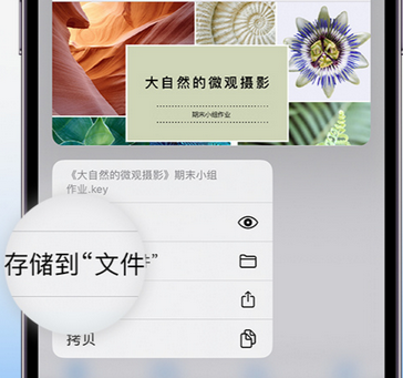 温泉apple维修中心分享iPhone文件应用中存储和找到下载文件