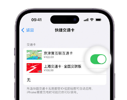 温泉apple维修点分享iPhone上更换Apple Pay快捷交通卡手绘卡面 