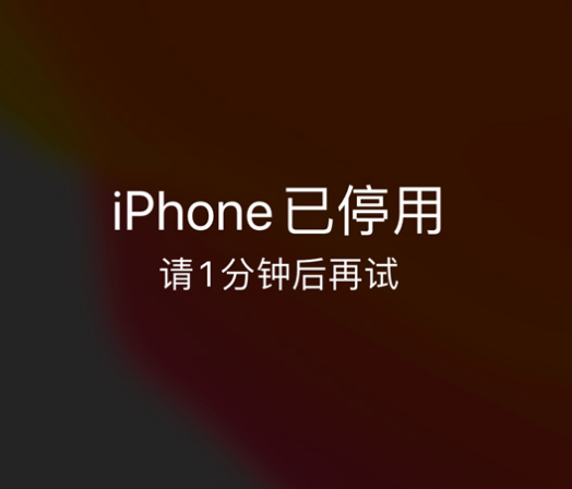 温泉苹果手机维修分享:iPhone 显示“不可用”或“已停用”怎么办？还能保留数据吗？ 