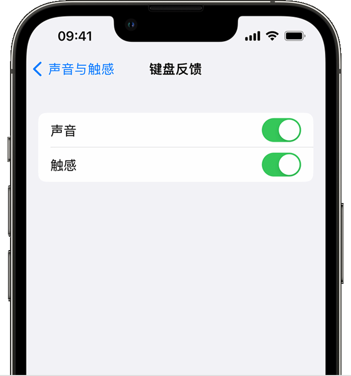 温泉苹果14维修店分享如何在 iPhone 14 机型中使用触感键盘 