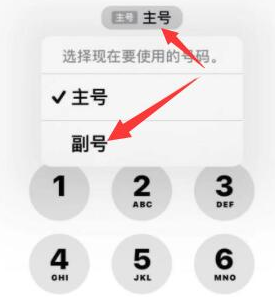 温泉苹果14维修店分享iPhone 14 Pro Max使用副卡打电话的方法 