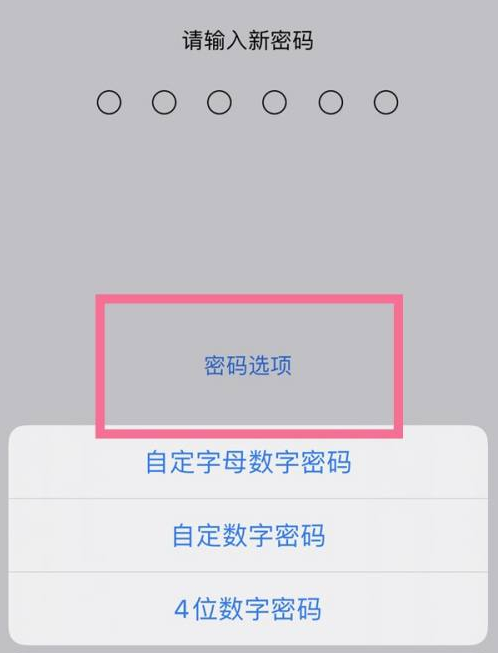 温泉苹果14维修分享iPhone 14plus设置密码的方法 