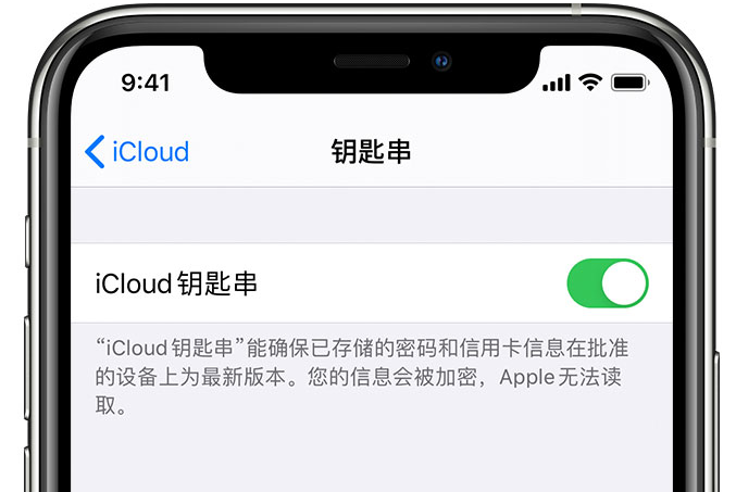 温泉苹果手机维修分享在 iPhone 上开启 iCloud 钥匙串之后会储存哪些信息 