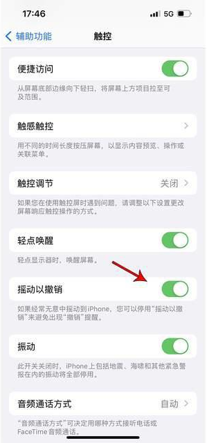 温泉苹果手机维修分享iPhone手机如何设置摇一摇删除文字 